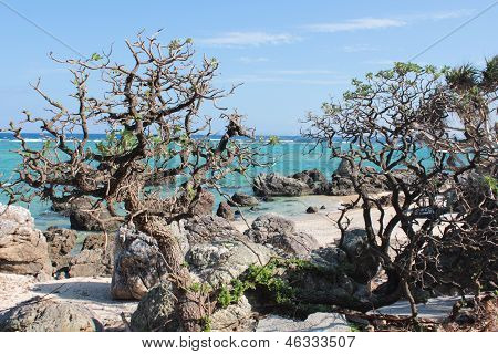 เกาะ Iheya