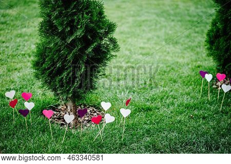 Wedding Decorations For The Ceremony. Colored Hearts On The Lawn, On The Green Grass And Tree Tuya D