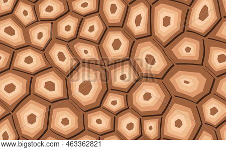 Abstract Modern Turtle Shell Seamless Pattern. Animals Trendy Background. Beige Decorative Vector Il