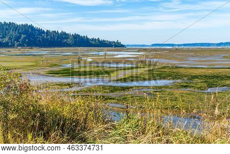 A View Of The Nisqually Wetlands In Washington State. Landscape Photo.