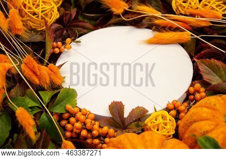 White Round Close-up Copyspace On  Replete Bright Background Of Yellow And Orange Leaves, Orange Dri