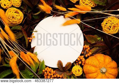 White Round Close-up Copyspace On  Replete Bright Background Of Yellow And Orange Leaves, Orange Dri