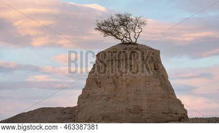 Beautiful Limestone Rock Formations At The Umm Bab, Qatar.
