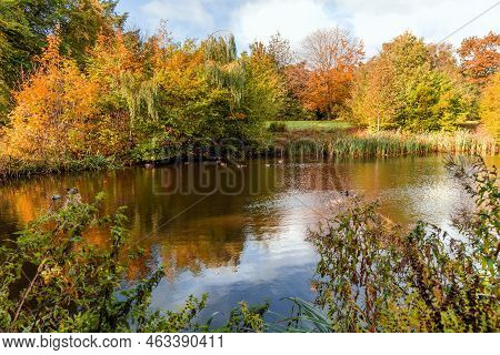 Beautiful Colorful Autumn Lake Surrounded By Autumn Follage. Autumn Background.