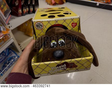 New Hope, Minnesota - October 7, 2022: Hand Holds Up A 1980s Re-release Classic Pound Puppies Toy Pl