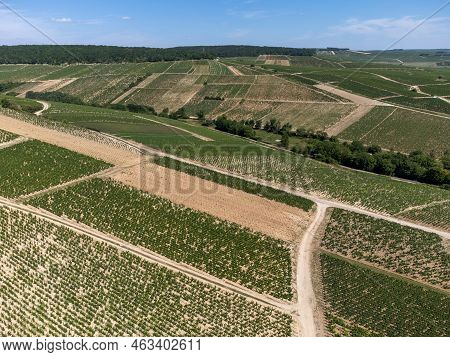 Aerial View On Chablis Grand Cru Appellation Vineyards With Grapes Growing On Limestone And Marl Soi
