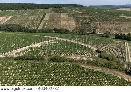 Aerial View On Chablis Grand Cru Appellation Vineyards With Grapes Growing On Limestone And Marl Soi