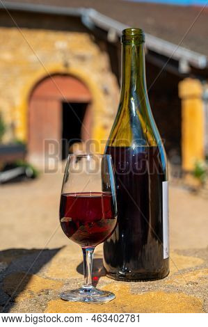 Tasting Of Red Wine By Old Wine Maker In Pierres Dorées Region With Yellow Stone Houses On South Of