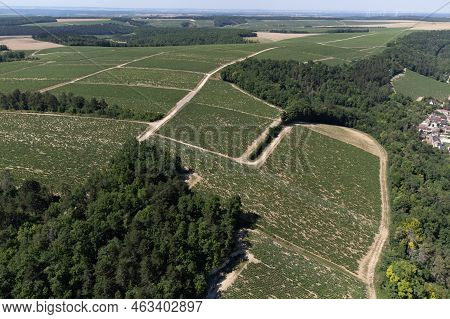 Aerial View On Chablis Grand Cru Appellation Vineyards With Grapes Growing On Limestone And Marl Soi