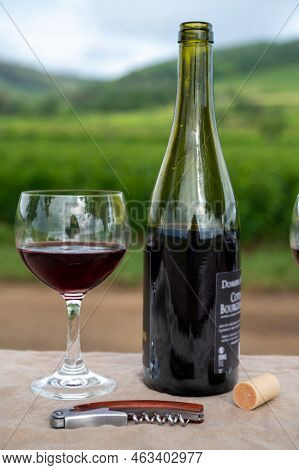 Tasting Of Red Dry Pinot Noir Wine In Glass On Premier And Grand Cru Vineyards In Burgundy Wine Maki