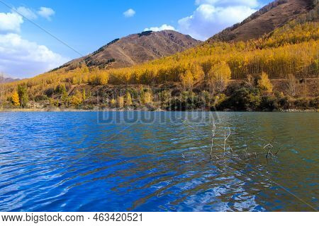 Mountain Lake With Yellow Trees. Autumn Landscape. Kyrgyzstan, Ak-tuz Gorge. Natural Background.