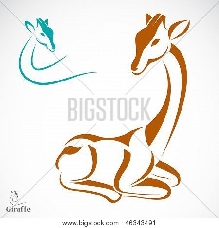 Immagine vettoriale di una giraffa