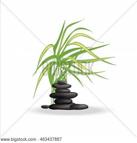 Zen Rock Tower, Wild Reed With Long Leaves Waving In The Wind. Symbolic Minimalistic Flat Oriental S