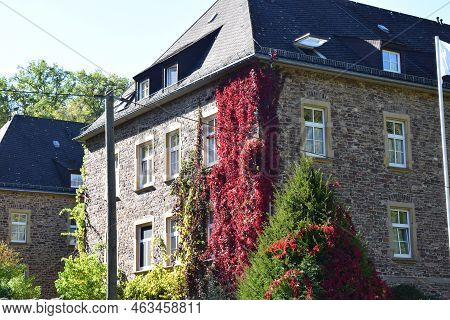 Autumn Plant On The Corner Of Monastery Maria Engelport