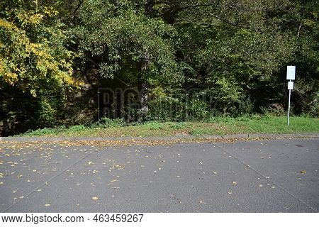 Empty Parking Lot In Autumn With Fallen Leaves