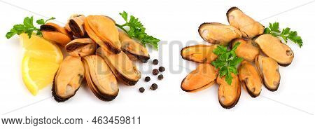 Mussel With Parsley Leaf Peppercorns And Lemon Isolated On White Background