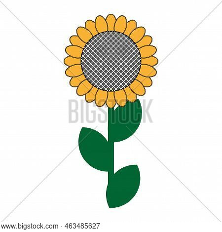 Vintage Sunflower. Vintage Floral Background. Vector Illustration. Stock Image.