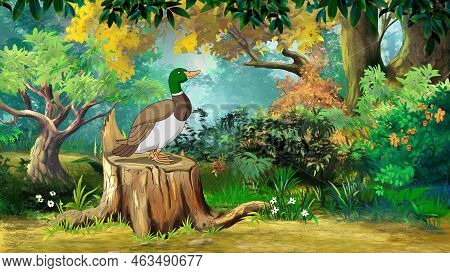 Wild Duck In The Forest On A Sunny Autumn Day. Digital Painting Background, Illustration.