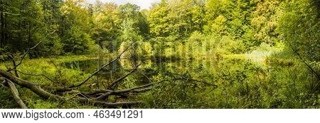 Lebedyn Lake In The Carpathian Mountain Forest, Hutsulshchyna National Park, Ivano-frankivsk Region,