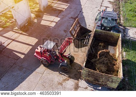 Excavator Shovel Working On A Cow Farm Carries Manure To Tractor, Aerial View