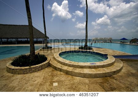 Dominicana Pool Tree Palm  Peace