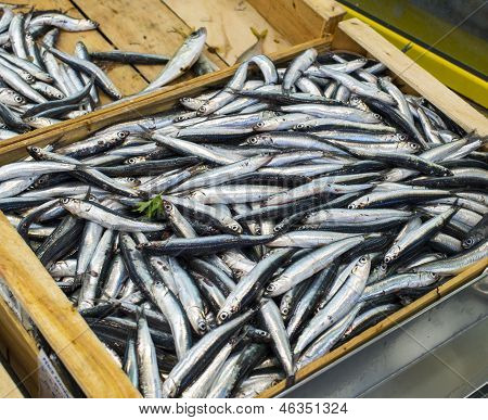 anchoa