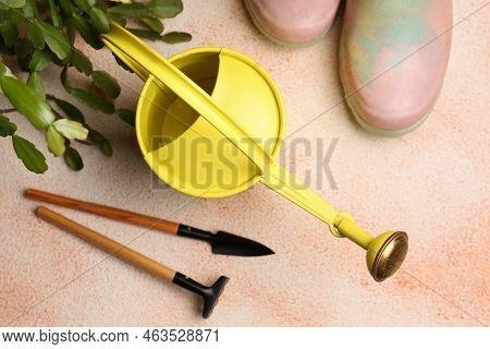 Watering Can With Gardening Tools And Green Plant On Color Textured Background, Flat Lay
