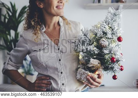 Portrait Of Happy Woman Smile And Hold Little Christmas Tree To Decorate Home During December Holida