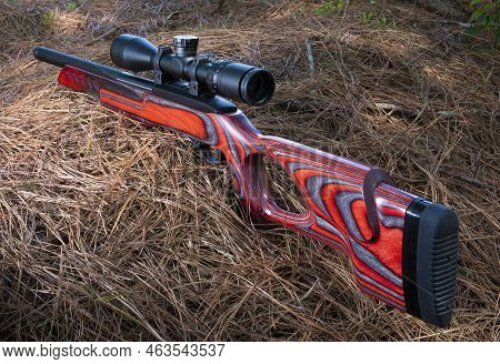 Semi Automatic Rimfire Rifle With A Thumbhole Stock And Optic