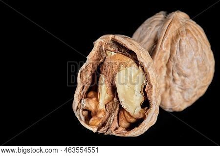 Walnut Photography On A Black Background Photographed Close-up