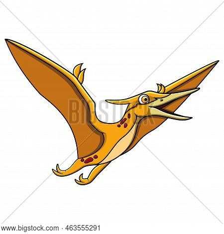The Cartoon Pteranodonflying Isolated On White Background