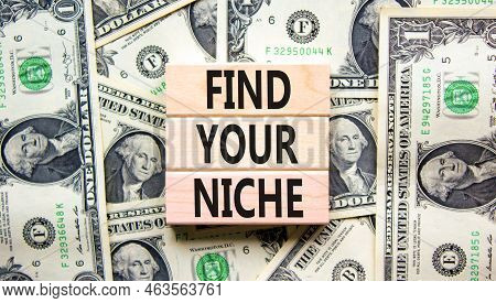 Find Your Niche Symbol. Concept Words Find Your Niche On Wooden Blocks. Dollar Bills. Beautiful Back