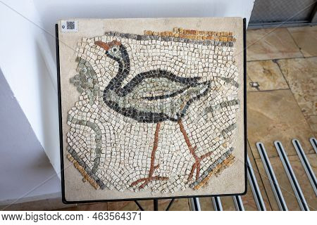 Haifa, Israel - September 21, 2022, The Reuben And Edith Hecht Museum Is A Museum Located On The Gro