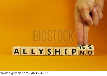 Allyship Yes Or No Symbol. Concept Words Allyship Yes Or Allyship No On Wooden Cubes. Businessman Ha