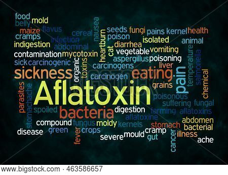Word Cloud With Aflatoxin Concept Create With Text Only.