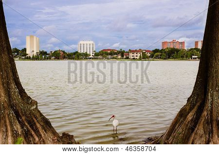 Du centre de Lakeland, en Floride, de Morton de lac, ou lac des cygnes