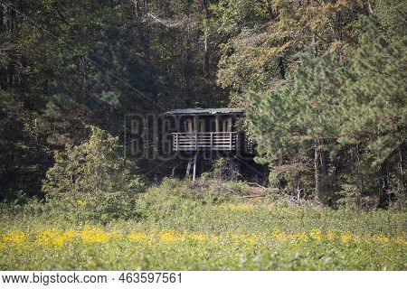 D'arbonne National Wildlife Refuge, Louisiana/usa - October 10 2020: Meadow Leading To Overlook At T