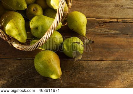 Pears On A Wooden Background. Fruit Harvest. Autumn Still Life. Pear Variety Bera Conference.