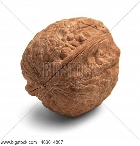 Walnut Photography On White Background Close-up Isolate
