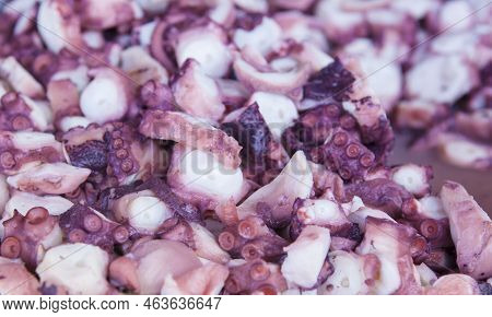 Boiled And Chilled Sliced Of Octopus. Galician-style Tapa