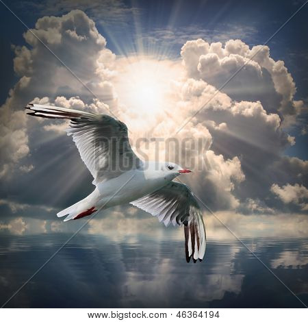 A gaivota voando sobre um mar contra um céu dramático. Plano de fundo da natureza.