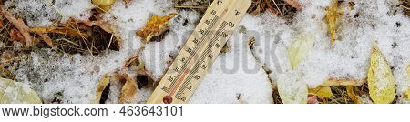 Thermometer With A Celsius And Fahrenheit Scale Lies Among The Yellow Autumn Foliage And Freshly Fal