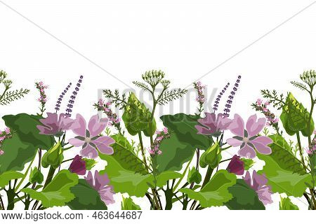 Vector Floral Seamless Pattern, Border. Horizontal Panoramic Design With Mallow, Yarrow And Hyssop I