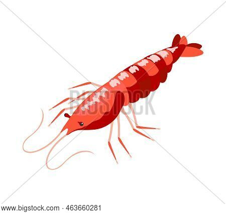 Red Langoustine Isometric Icon On White Background 3d Vector Illustration