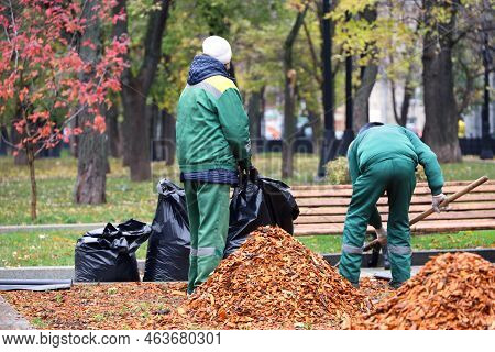 Two Workers Clean The Lawns In Autumn Park. City Improvement, Man And Woman Janitors With Shovel And