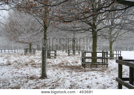 Winter-Schnee-Szene