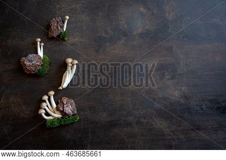 Cluster Of Fresh Brown Shimeji Mushrooms Close Up. Shimeji Mushrooms On Wooden Background