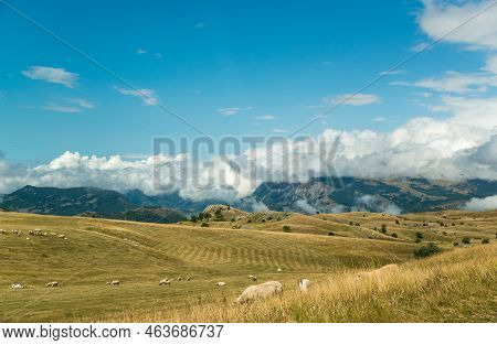 Amaizing Sunset View On Durmitor Mountains, National Park, Mediterranean, Montenegro, Balkans, Europ