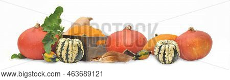Group Of Gourd Arranged In Panoramic View On White Background