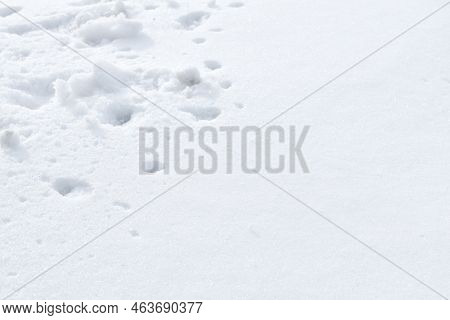 White Snow Texture. Winter Background. Snow Drifts. White Snowflakes Background, Snow Texture